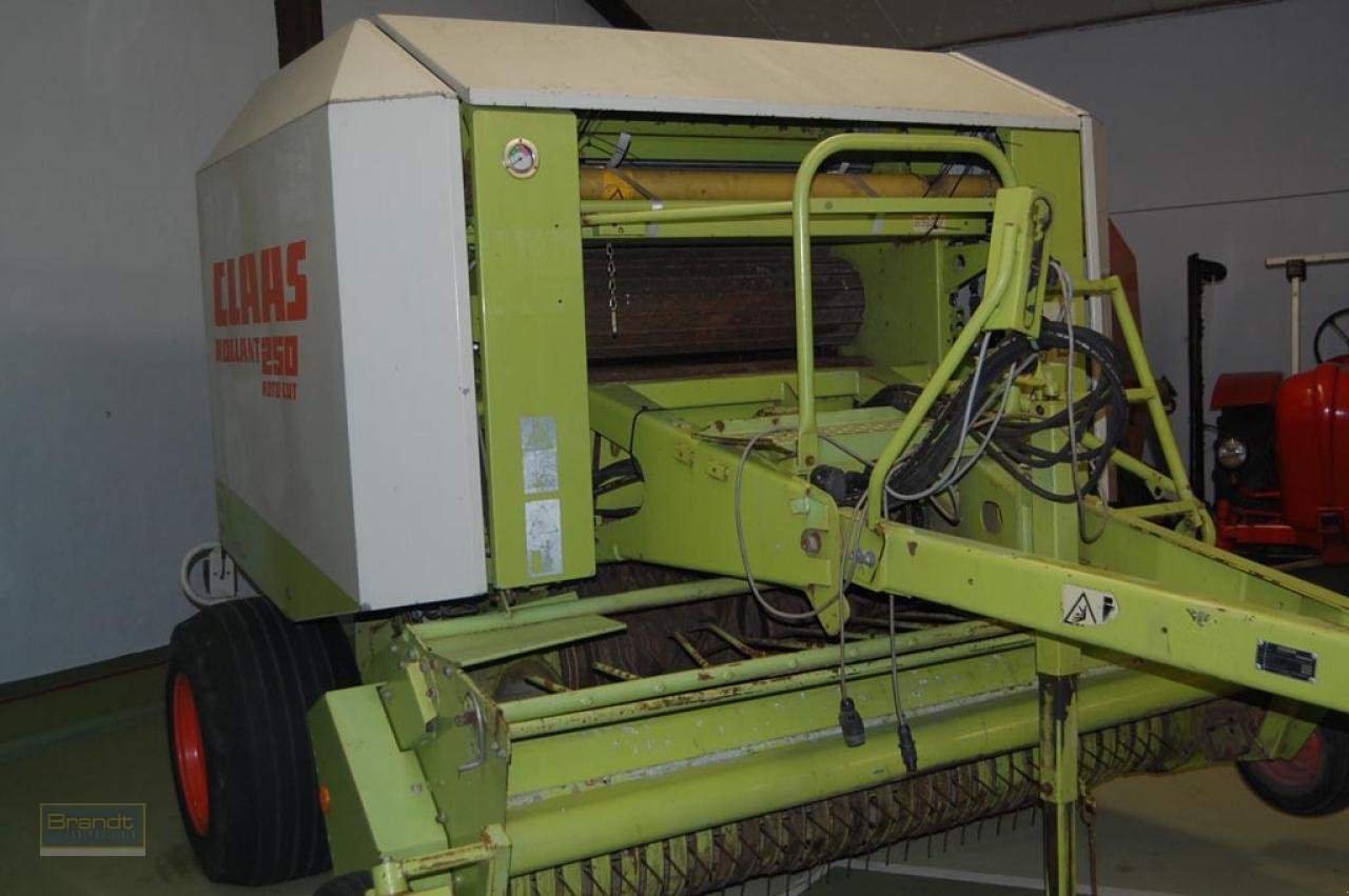 Rundballenpresse del tipo CLAAS Rollant 250 RC, Gebrauchtmaschine en Oyten (Imagen 3)