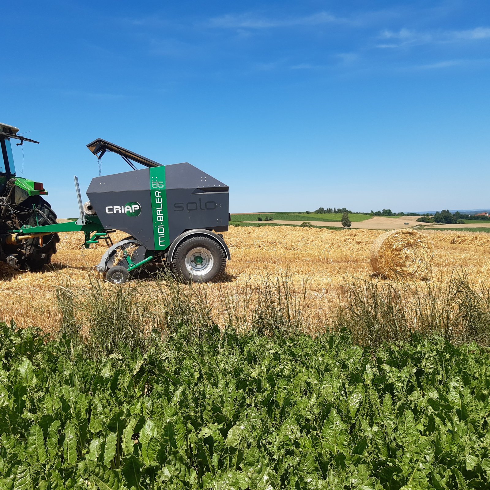 Rundballenpresse van het type Criap Midi Baler 85 Midi Baler 85, Neumaschine in Baumgarten (Foto 26)