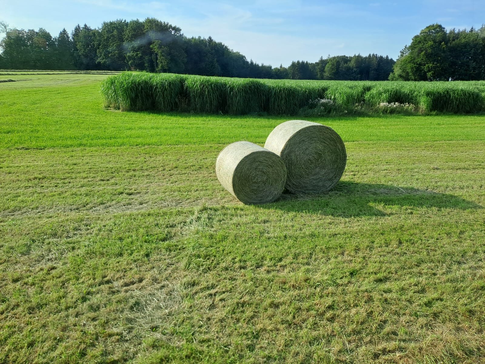 Rundballenpresse typu Pöttinger Impress 185 VC PRO, Gebrauchtmaschine v Hutthurm (Obrázek 27)