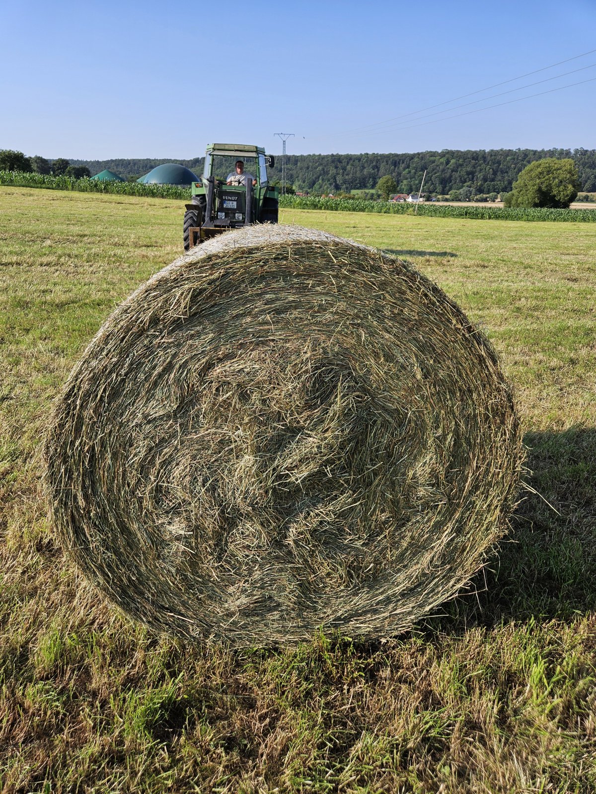 Rundballenpresse typu Welger RP 200 Mastercutt, Gebrauchtmaschine w Jühnde (Zdjęcie 3)