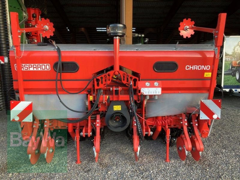 Sämaschine del tipo Maschio CHRONO 306 GASPARDO PNEUMATISC, Vorführmaschine en Mindelheim (Imagen 1)