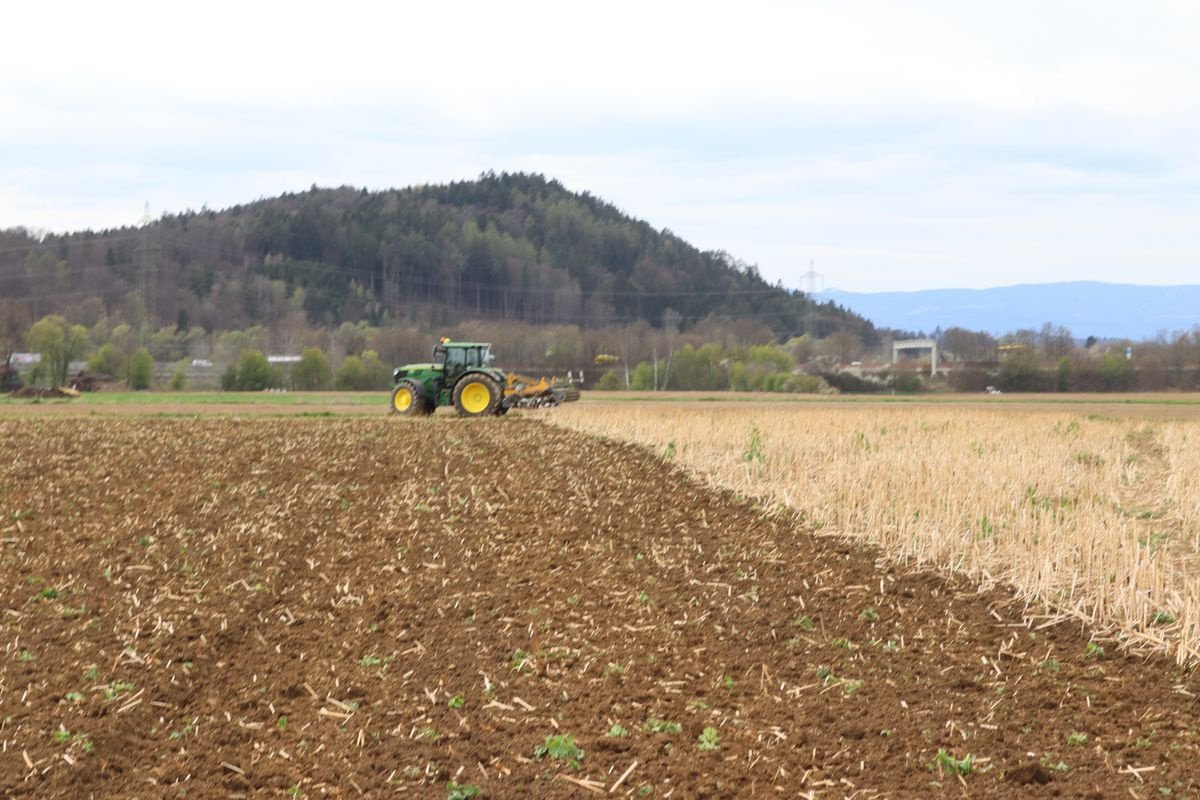 Scheibenegge del tipo AGRO-STAHL Z-Cutter, Neumaschine en Wundschuh (Imagen 8)