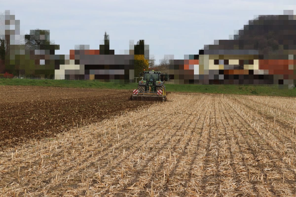 Scheibenegge Türe ait AGRO-STAHL Z-Cutter, Neumaschine içinde Wundschuh (resim 13)