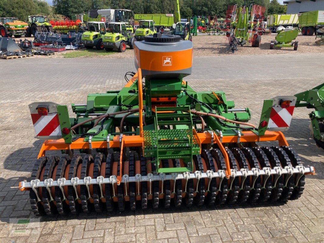 Scheibenegge des Typs Amazone Catros 3001 mit Green Drill, Gebrauchtmaschine in Rhede / Brual (Bild 5)