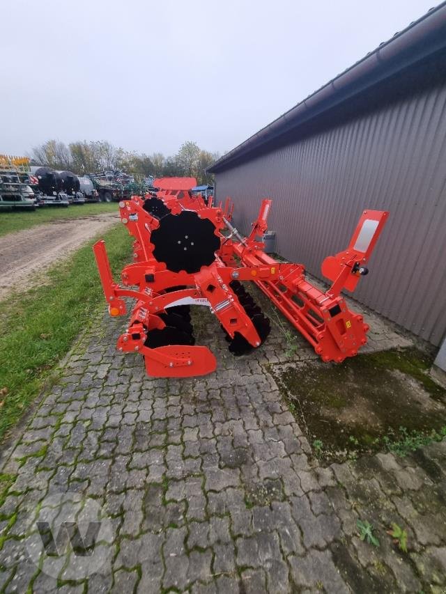 Scheibenegge van het type Maschio Veloce, Neumaschine in Börm (Foto 2)