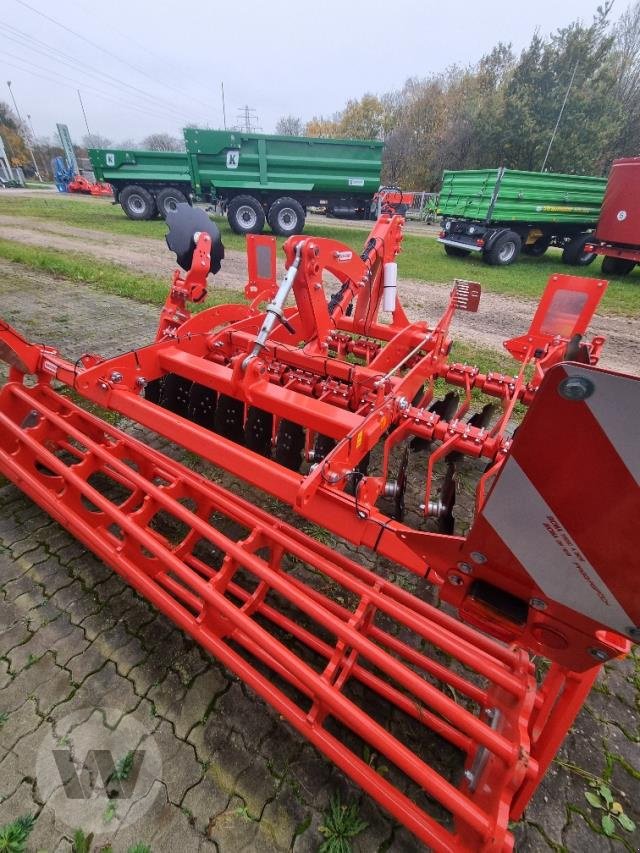 Scheibenegge van het type Maschio Veloce, Neumaschine in Börm (Foto 3)