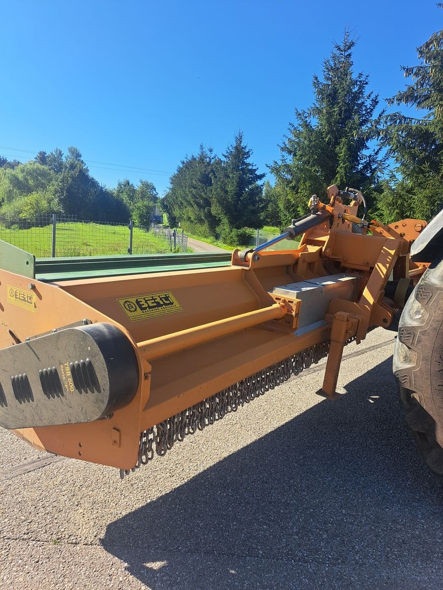 Schlegelmäher typu Berti TSB/P600, Gebrauchtmaschine v Pischelsdorf am Engelbach (Obrázok 9)