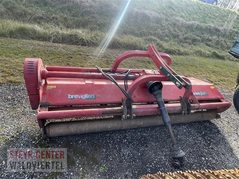 Schlegelmäher des Typs Breviglieri Mulcher t110s 280, Gebrauchtmaschine in Vitis (Bild 2)