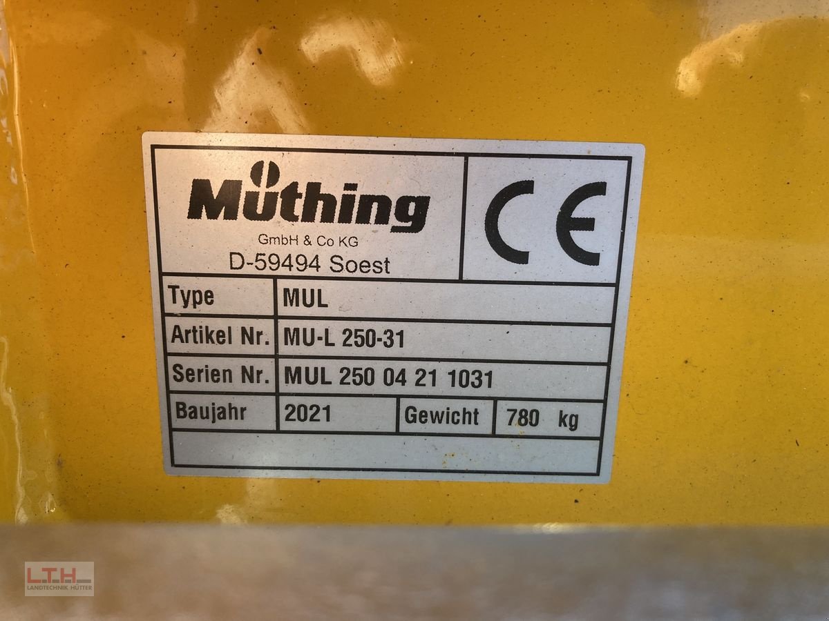 Schlegelmäher Türe ait Müthing MU-L 250 Vario, Neumaschine içinde Gnas (resim 11)