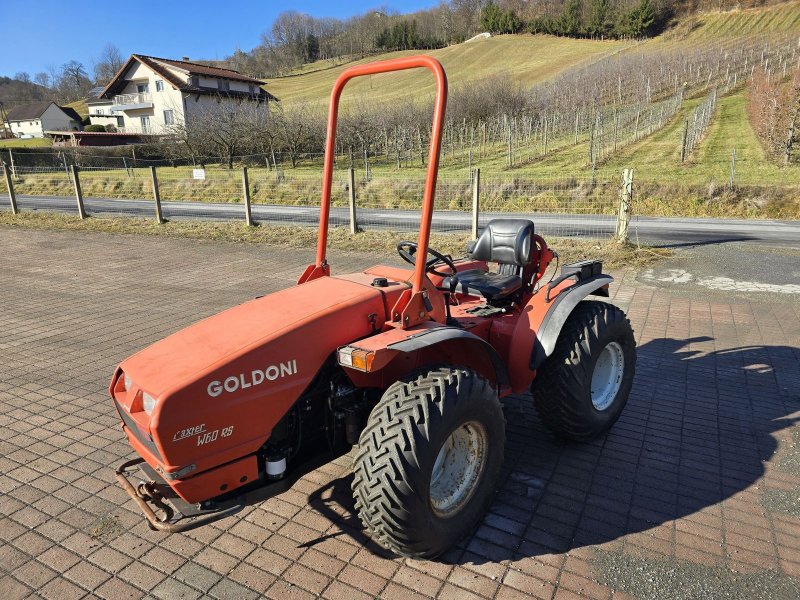 Schmalspurtraktor typu Sonstige GOLDONI, Gebrauchtmaschine w Gabersdorf (Zdjęcie 1)