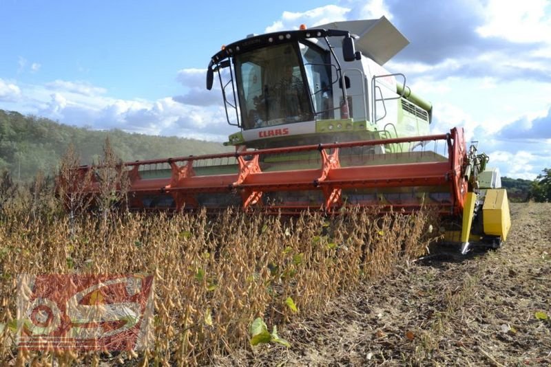 Schneidwerk Türe ait Biso Sojavorsatz 6,6m, Gebrauchtmaschine içinde Offenhausen (resim 1)