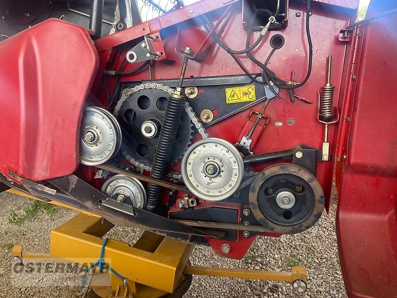 Schneidwerk typu Case IH 3020 Soja Flex 9,15 mtr., Gebrauchtmaschine v Rohr (Obrázek 12)