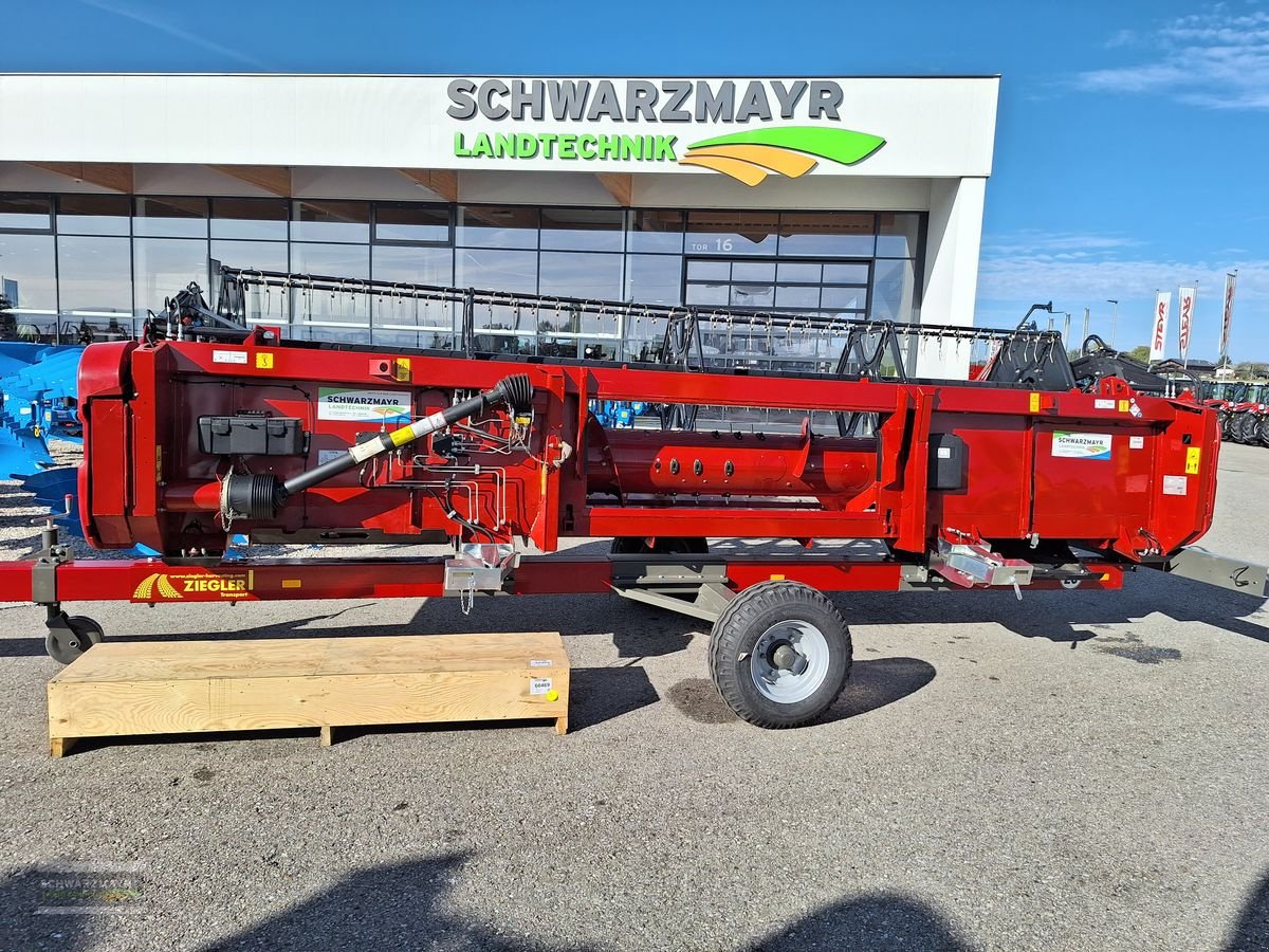 Schneidwerk van het type Case IH 3050 STD 6,10 Schneidwerk, Neumaschine in Gampern (Foto 1)