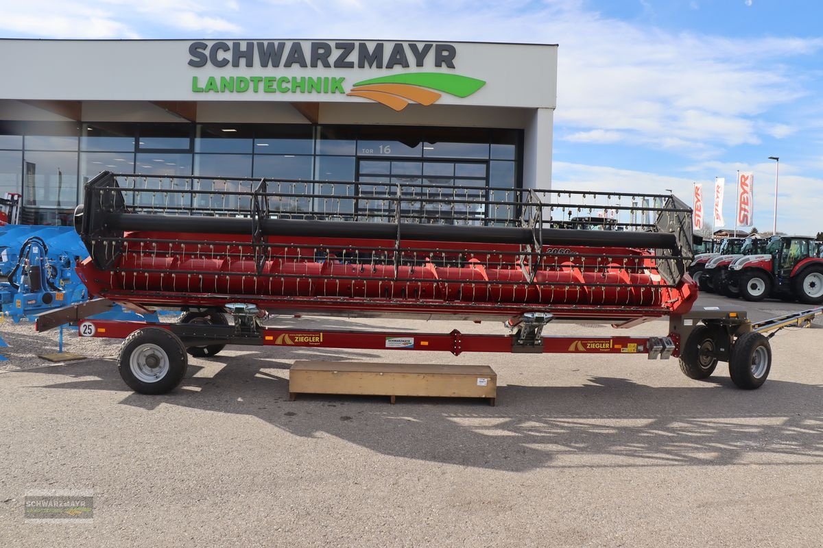 Schneidwerk of the type Case IH 3050 STD 6,70, Neumaschine in Gampern (Picture 1)