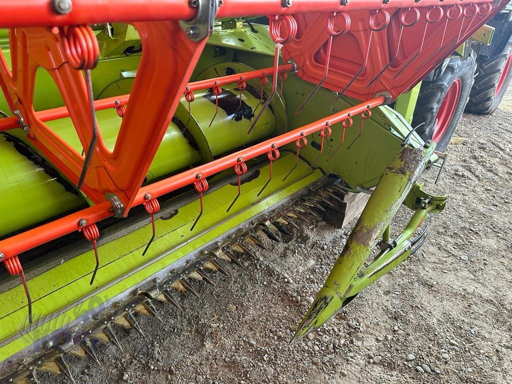 Schneidwerk del tipo CLAAS C 540 klappbar ca. 350 Ha neuwertig, Gebrauchtmaschine In Schutterzell (Immagine 21)