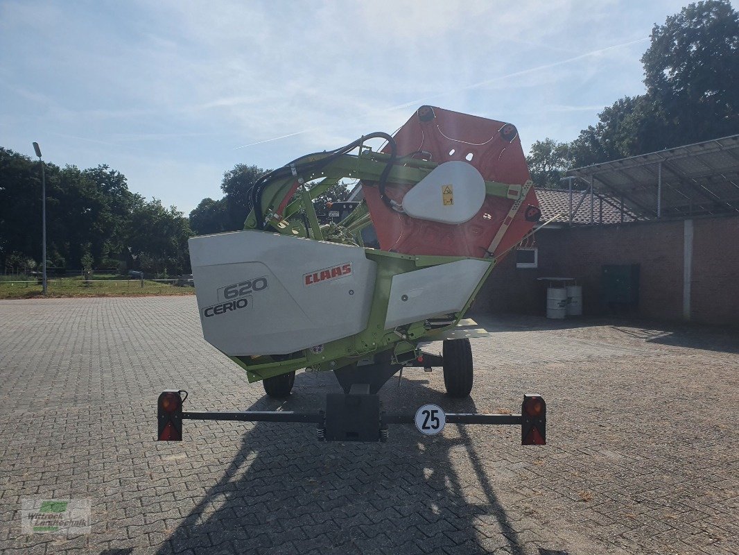 Schneidwerk of the type CLAAS Cerio 620, Neumaschine in Rhede / Brual (Picture 4)