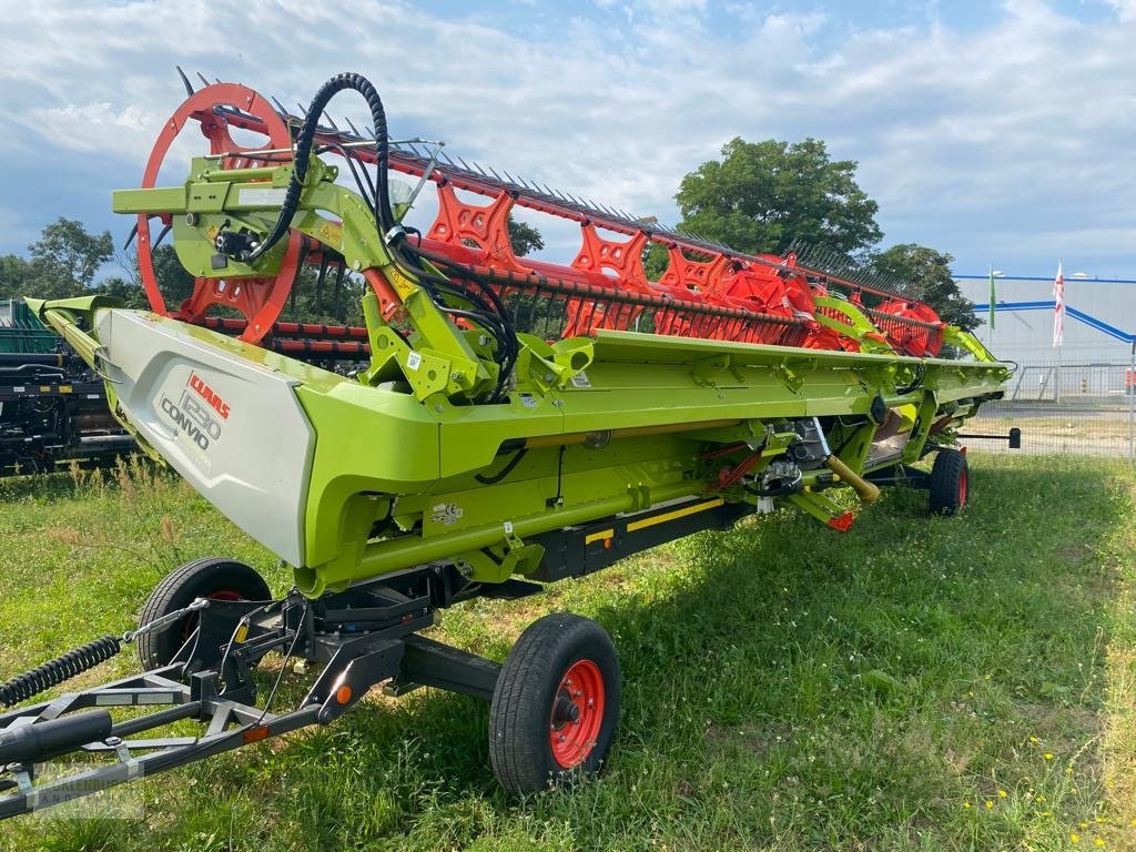 Schneidwerk des Typs CLAAS Convio 12,30m, Gebrauchtmaschine in Mühlengeez (Bild 2)