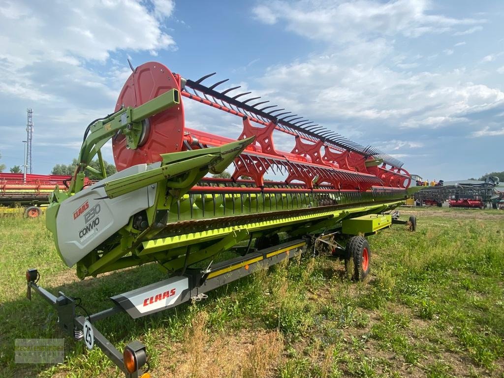 Schneidwerk du type CLAAS Convio 12,30m, Gebrauchtmaschine en Mühlengeez (Photo 5)