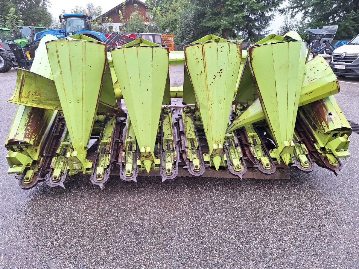 Schneidwerk des Typs CLAAS Maispflücker 5-70SL, Gebrauchtmaschine in Burgkirchen (Bild 11)