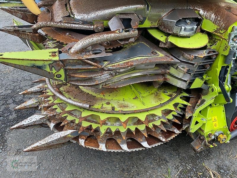 Schneidwerk van het type CLAAS Orbis 750 I63, Gebrauchtmaschine in Prüm-Dausfeld (Foto 10)