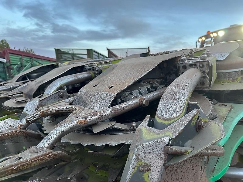 Schneidwerk Türe ait CLAAS Orbis 900 mit Fahrwerk, sehr guter Zustand, Gebrauchtmaschine içinde Ostercappeln (resim 23)