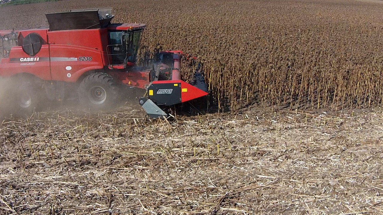 Schneidwerk van het type Dominoni Free Sun 6,20 -, Neumaschine in Baumgarten (Foto 7)