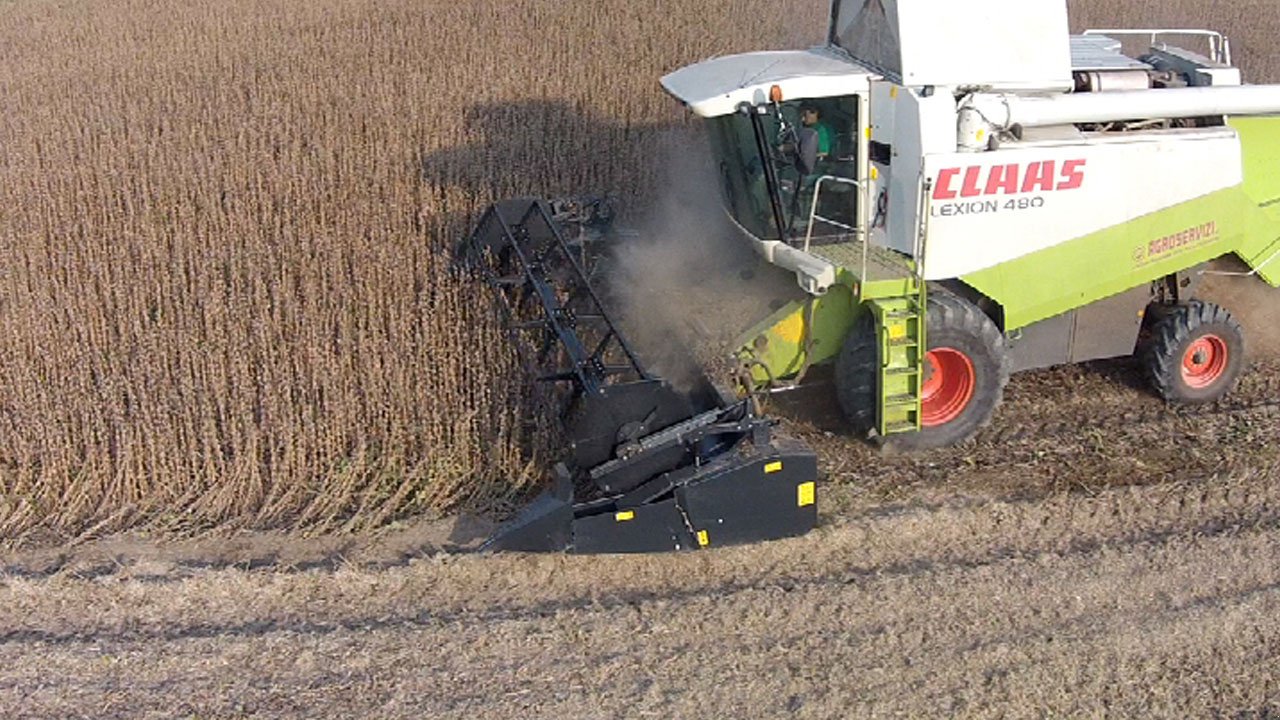 Schneidwerk van het type Dominoni Top Flex 6,10, Neumaschine in Baumgarten (Foto 2)