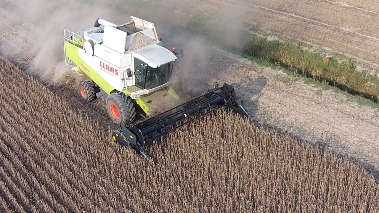 Schneidwerk van het type Dominoni Top Flex 6,10, Neumaschine in Baumgarten (Foto 20)