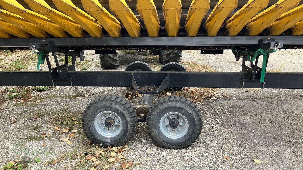 Schneidwerk tip Fantini Sonnenblumenschneidwerk, Gebrauchtmaschine in Korneuburg (Poză 14)