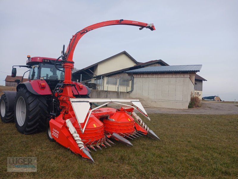 Schneidwerk del tipo Kemper Champion 3000, Gebrauchtmaschine In Niederkappel (Immagine 1)