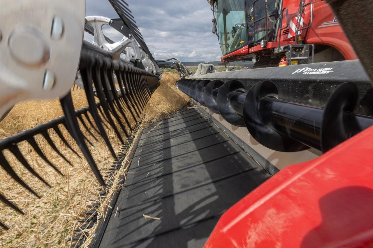 Schneidwerk Türe ait MacDon FD245 FLEXDRAPER, Gebrauchtmaschine içinde Viborg (resim 2)