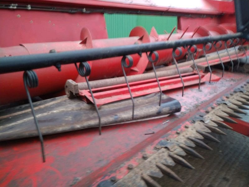 Schneidwerk du type Massey Ferguson Power Flow 5,4m, Gebrauchtmaschine en Liebenwalde (Photo 13)