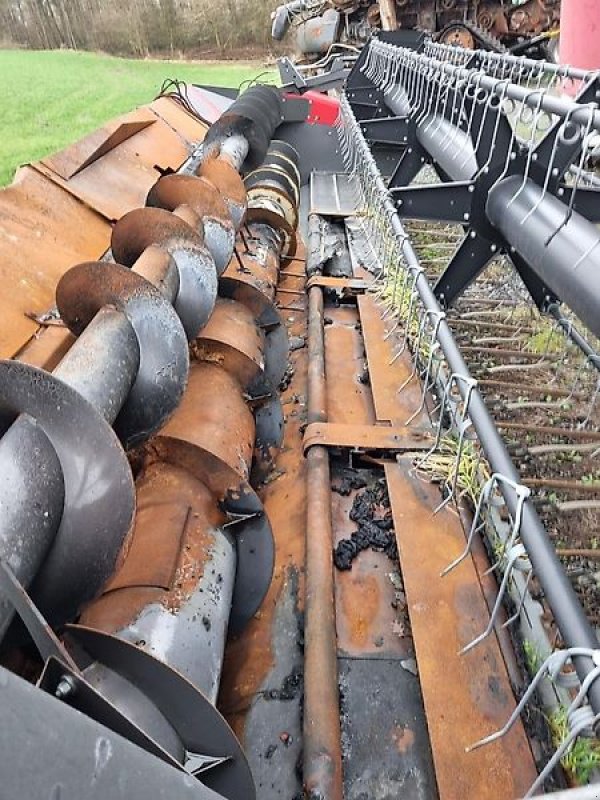 Schneidwerk of the type Massey Ferguson Sonstiges, Gebrauchtmaschine in Honigsee (Picture 2)