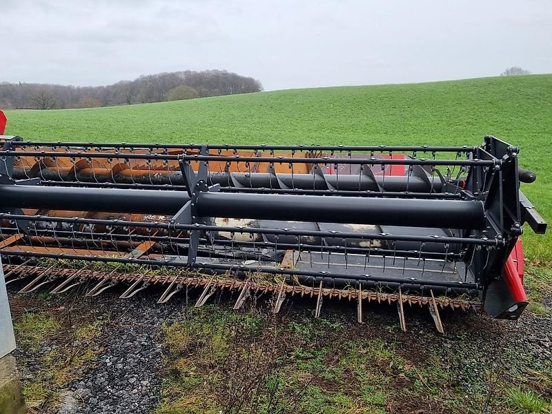 Schneidwerk of the type Massey Ferguson Sonstiges, Gebrauchtmaschine in Honigsee (Picture 9)