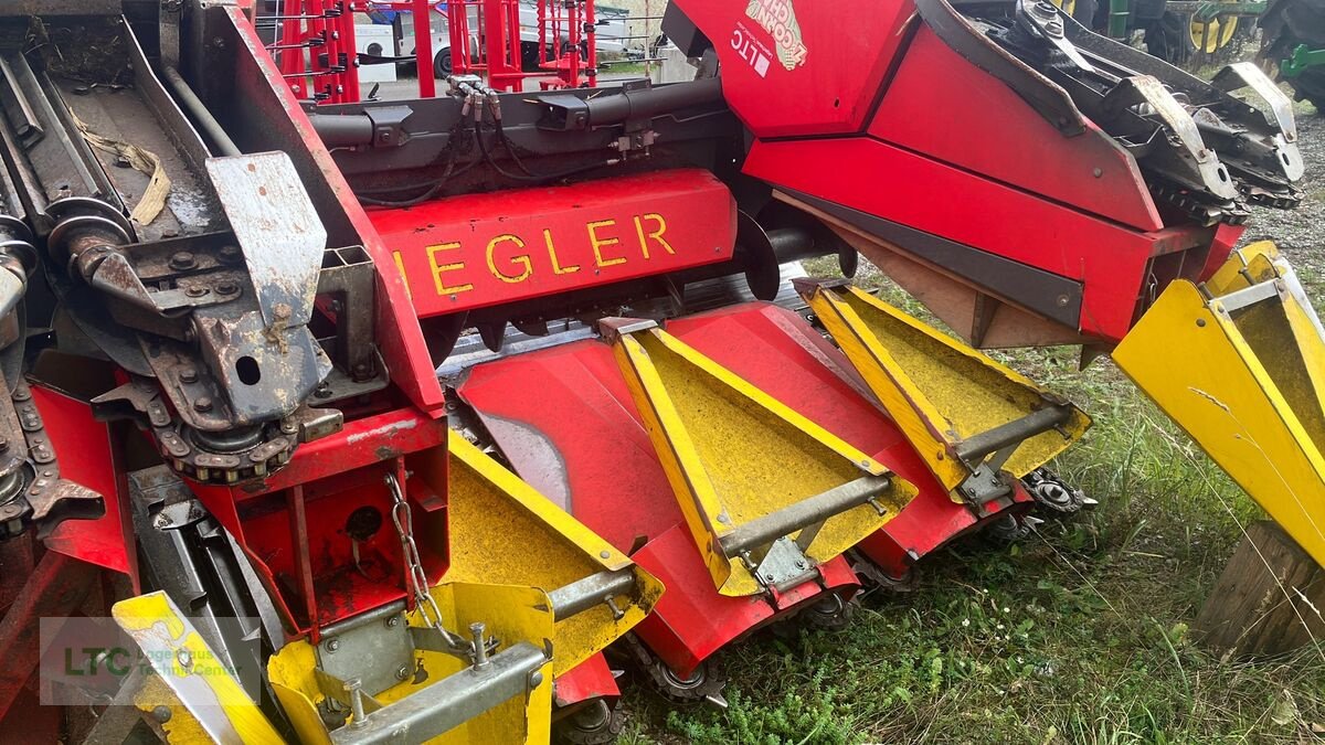 Schneidwerk du type Ziegler Corn Champion, Gebrauchtmaschine en Korneuburg (Photo 5)