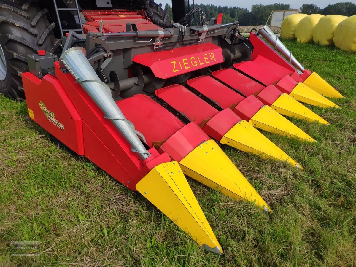 Schneidwerk des Typs Ziegler Cornchampion 6/70 Maispflücker, Gebrauchtmaschine in Aurolzmünster (Bild 8)