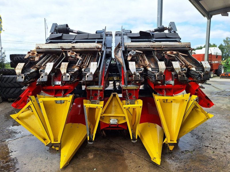 Schneidwerk typu Ziegler Maispflücker Corn Champion Klappbar, Gebrauchtmaschine w Burgkirchen (Zdjęcie 1)