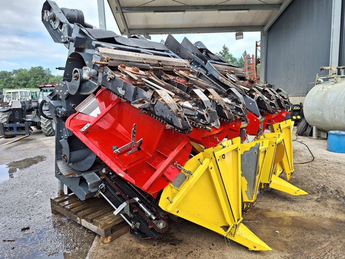 Schneidwerk des Typs Ziegler Maispflücker Corn Champion Klappbar, Gebrauchtmaschine in Burgkirchen (Bild 4)