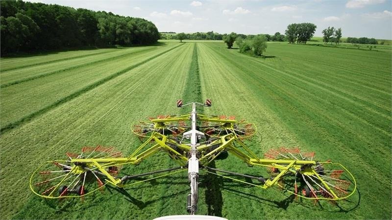 Schwader del tipo CLAAS Liner 3600 Ring for pris, Gebrauchtmaschine en Aalestrup (Imagen 1)