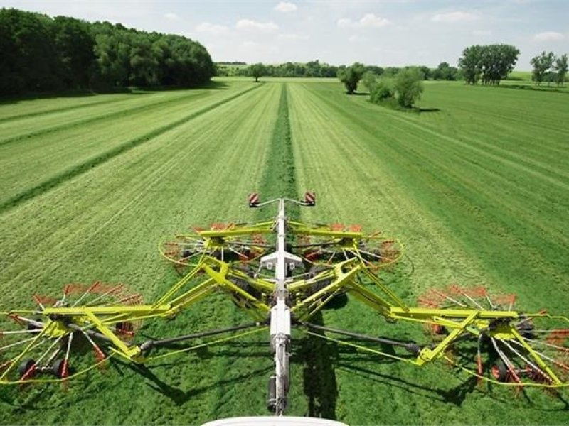 Schwader a típus CLAAS Liner 3600 Ring for pris, Gebrauchtmaschine ekkor: Aalestrup (Kép 1)