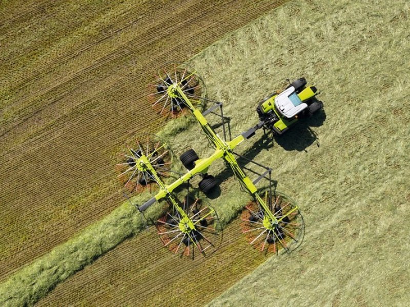 Schwader des Typs CLAAS Liner 4800 Business, Gebrauchtmaschine in Tinglev