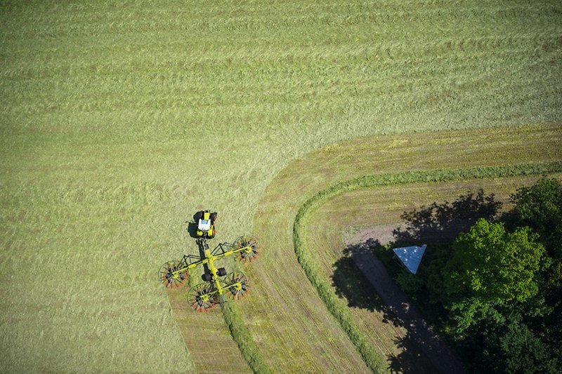 Schwader des Typs CLAAS Liner 4800 Business, Gebrauchtmaschine in Tinglev (Bild 2)