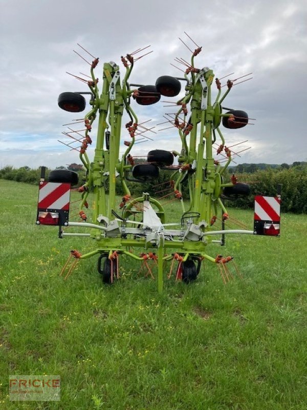 Schwader Türe ait CLAAS Volto 1100, Neumaschine içinde Bockel - Gyhum (resim 3)