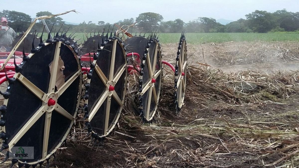 Schwader van het type Enorossi BATRAKE, Neumaschine in Fohnsdorf (Foto 3)