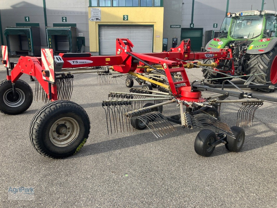 Schwader typu Fella TS 1603, Gebrauchtmaschine v Kirchdorf (Obrázok 10)