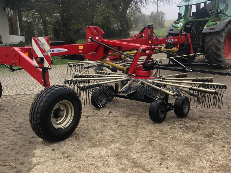 Schwader of the type Fella TS 1603, Gebrauchtmaschine in Dorfen (Picture 1)