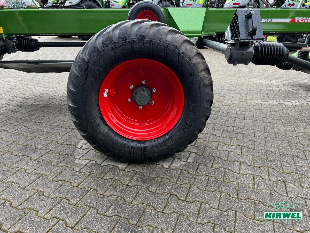 Schwader Türe ait Fendt Former 12545 DB, Neumaschine içinde Blankenheim (resim 8)