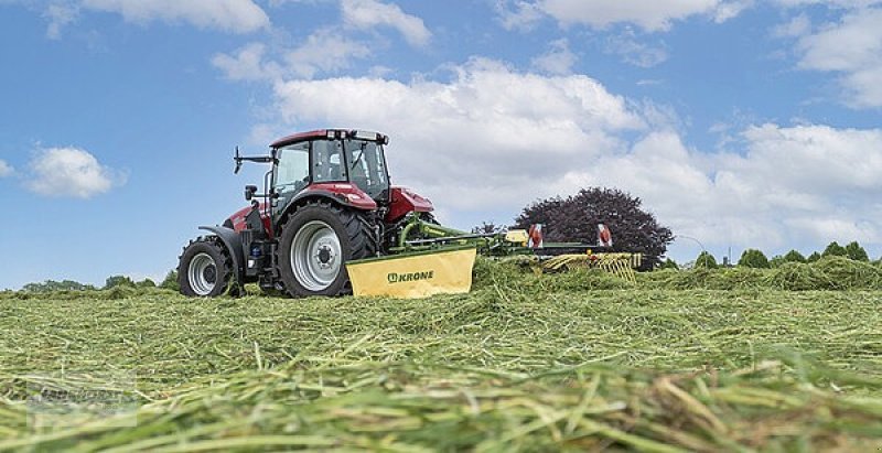 Schwader des Typs Krone SWADRO S 380, Neumaschine in Aurich (Bild 7)