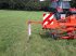 Schwader del tipo Kuhn GA 6000, Gebrauchtmaschine In Itterbeck (Immagine 8)