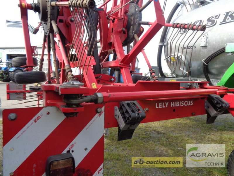 Schwader tip Lely HIBISCUS 805, Gebrauchtmaschine in Nartum (Poză 12)